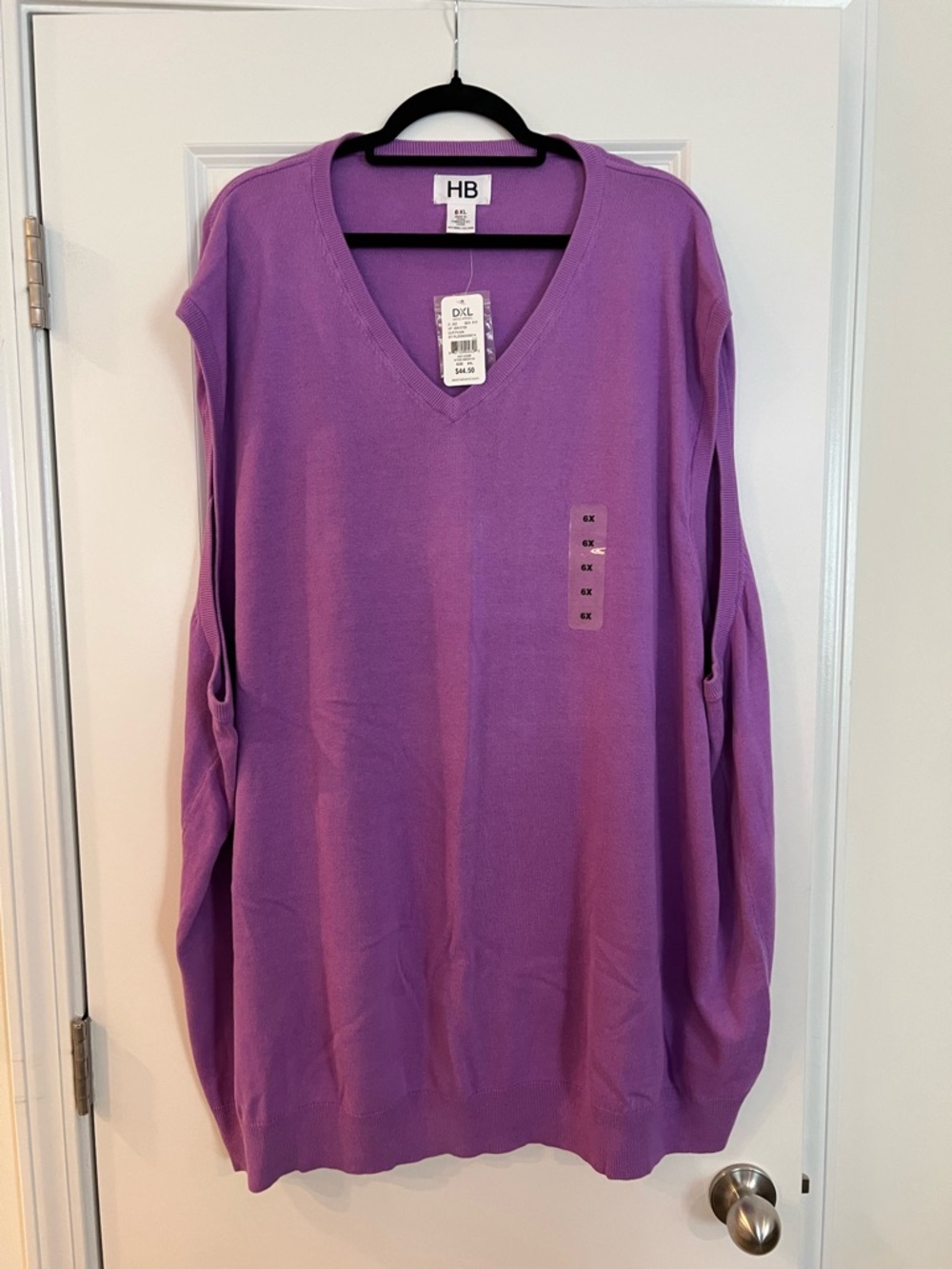 HB Purple V-Neck Sweater NWT 6XL